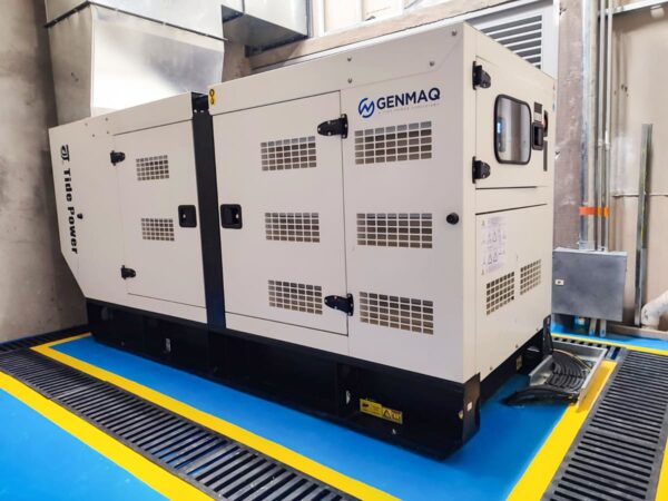 Cómo elegir una planta eléctrica diesel